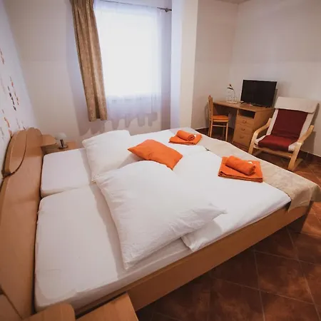 Guest house Vezka 3*