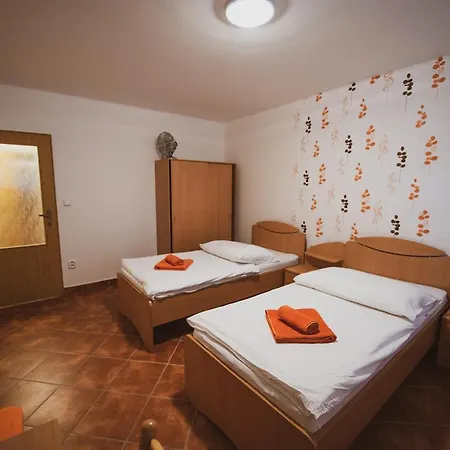 Guest house Vezka 3*